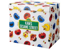 Sesame Street x Kaws plushy toy