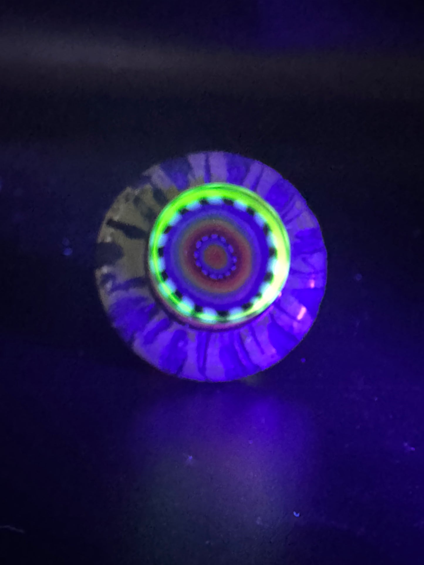 Doc Glass x Stormin Normin glass x Trevy Metal glass