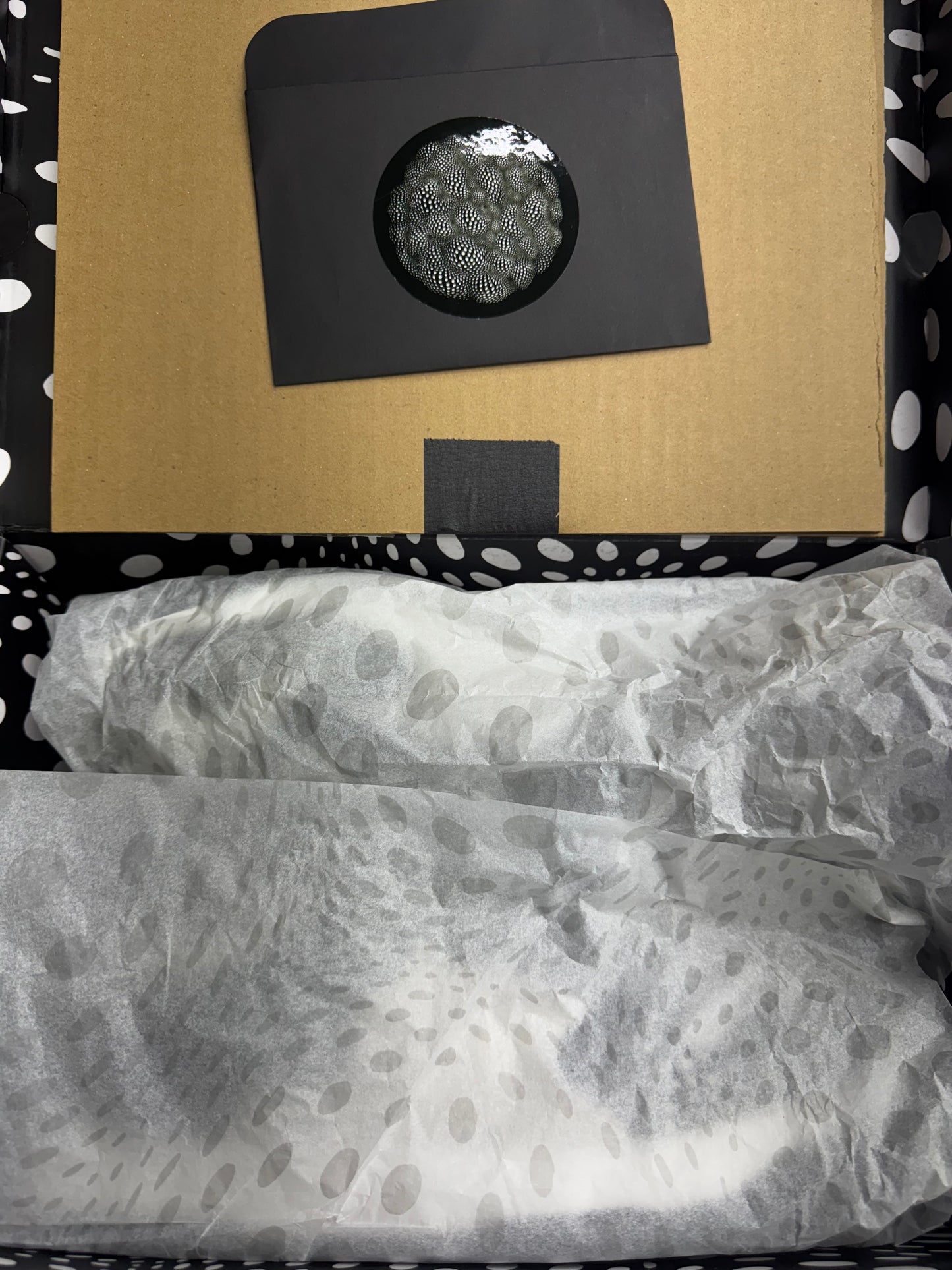 Mars -1 x Dunks size 12
