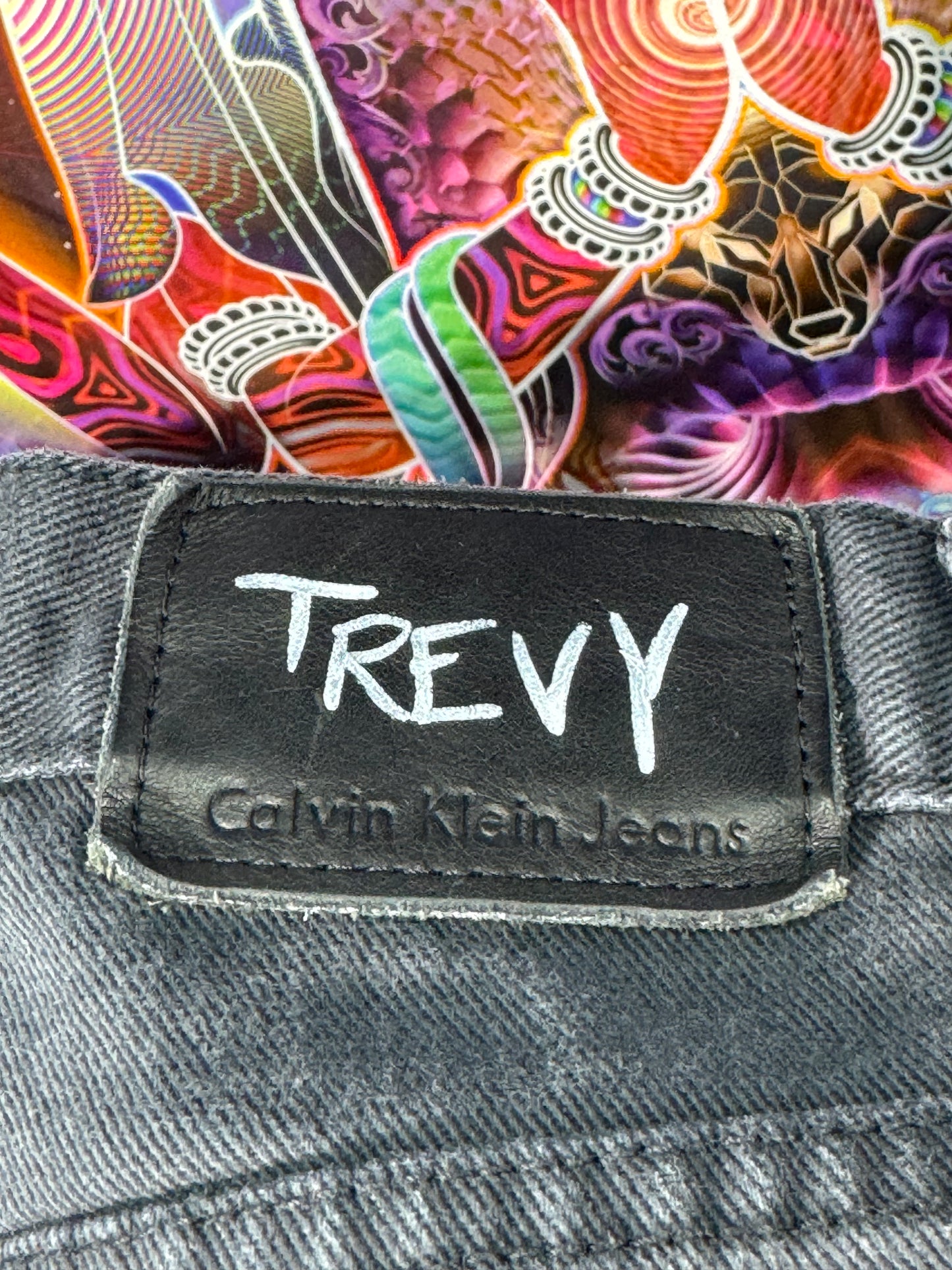 Trevy Metal Pants