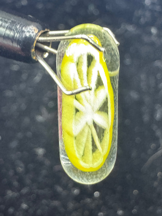 Lyons Glass pillar